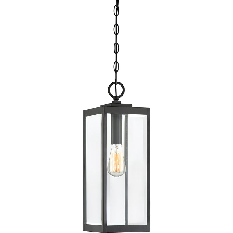 Westover 1-Light Outdoor Lantern in Earth Black