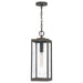 Westover 1-Light Outdoor Hanging Lantern in Industrial Bronze