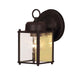 Exterior Collections 1-Light Outdoor Wall Lantern in Rust
