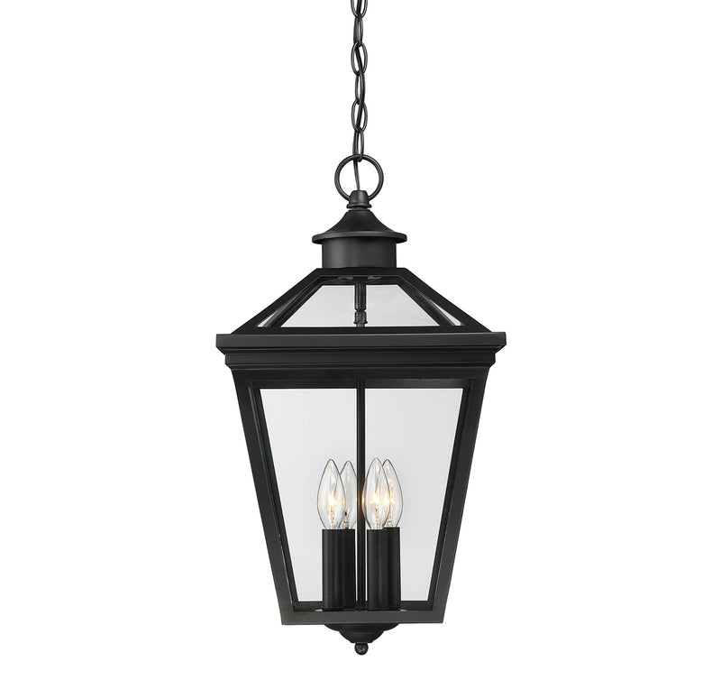 Ellijay 4-Light Outdoor Hanging Lantern in Black