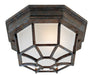 Exterior Collections 1-Light Outdoor Flush Mount in Rustic Bronze