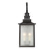 Monte Grande 1-Light Outdoor Wall Lantern in Slate