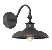Raliegh 1-Light Outdoor Wall Lantern in Black
