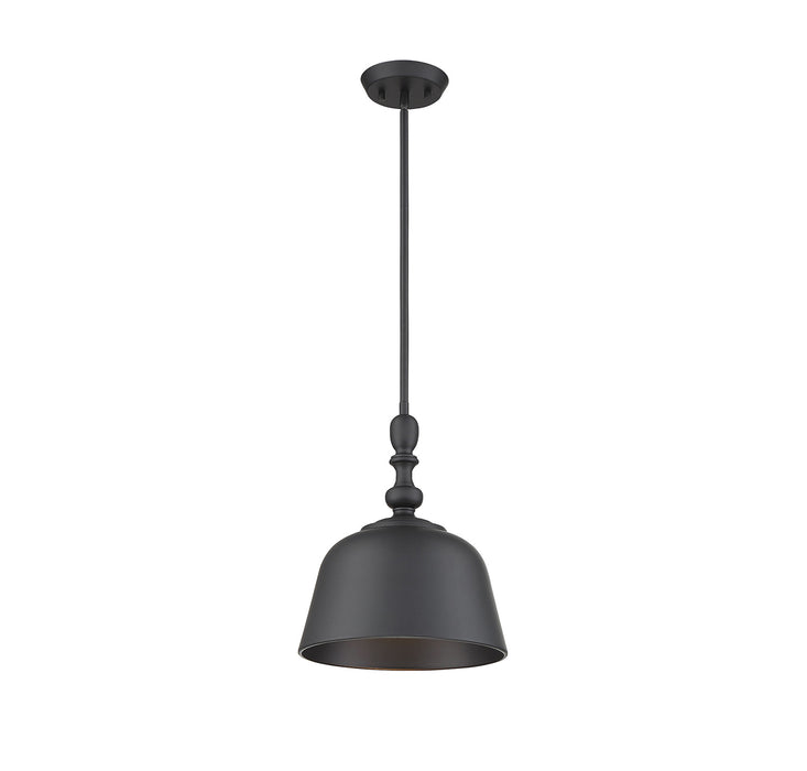 Berg 1-Light Pendant in Matte Black
