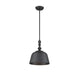 Berg 1-Light Pendant in Matte Black