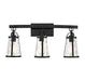 Albany 3-Light Bath in Black