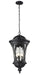 Doma 5-Light Outdoor Chain-Light in Black with Water Glass Glass - Lamps Expo