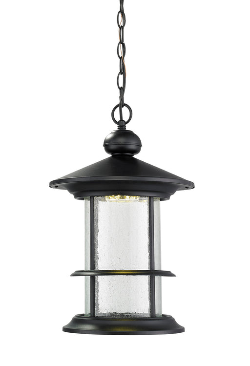 Genesis 1-Light Outdoor LED Chain Hung-Light in Black with Clear Seedy Glass - Lamps Expo