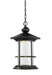 Genesis 1-Light Outdoor LED Chain Hung-Light in Black with Clear Seedy Glass - Lamps Expo