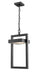 Luttrel 1-Light Outdoor Chain Mount Ceiling Fixture - Lamps Expo