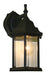 Waterdown 1-Light Outdoor Wall-Light - Lamps Expo