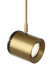 Burk Head in Aged Brass