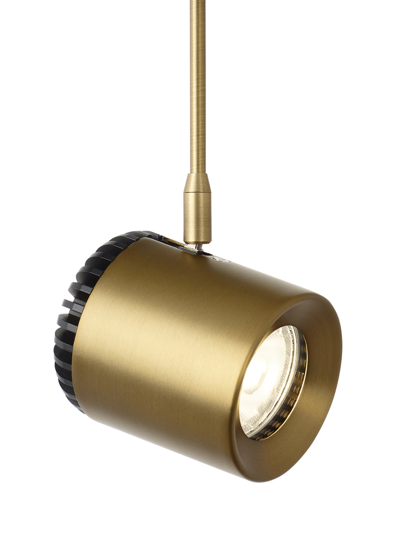 Burk Head in Aged Brass
