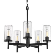 Winslett 5-Light Chandelier - Lamps Expo
