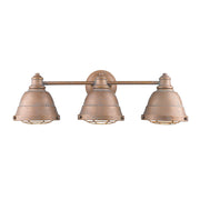Bartlett 3-Light Bath Vanity - Lamps Expo