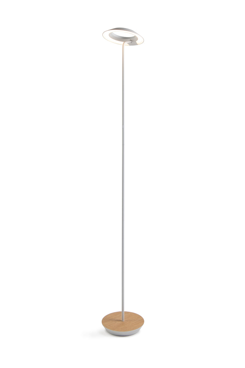 Royyo Floor Lamp, Matte White Body, White Oak base plate