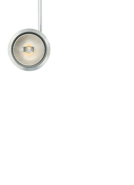 Sprocket Head in Satin Nickel